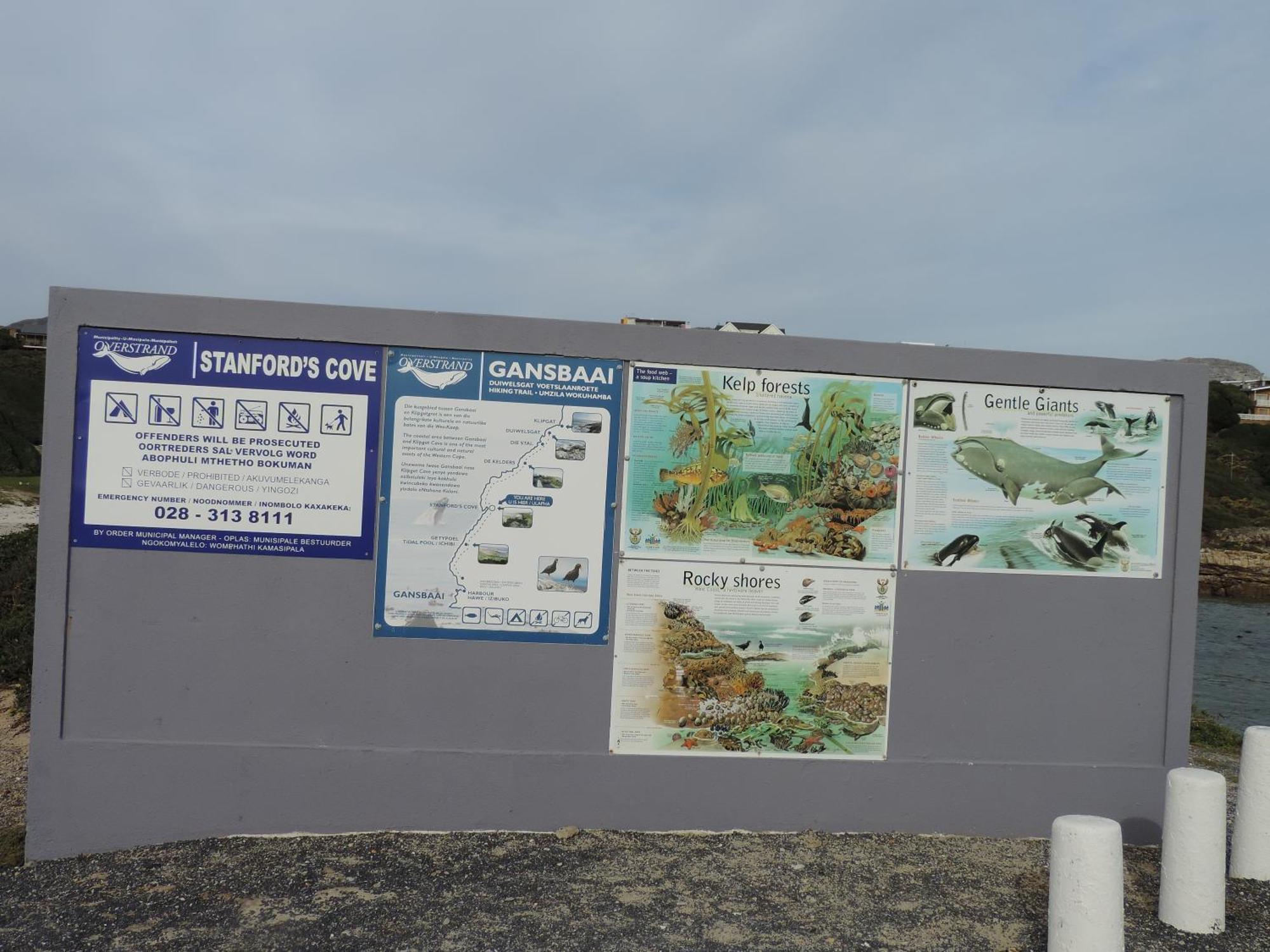 Wave Dancer Bed & Breakfast Gansbaai Exterior photo